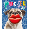 Pucker Up! - Board Book