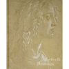 Botticelli Drawings - Hardcover