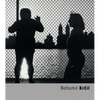 Bohumil Krcil - Paperback