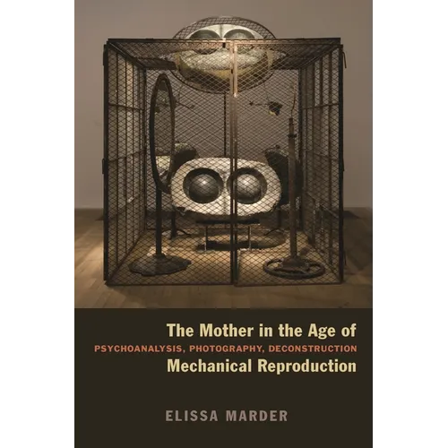 The Mother in the Age of Mechanical Reproduction: Psychoanalysis, Photography, Deconstruction - Paperback