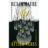 The Black Maybe: Liminal Tales - Paperback