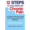 Twelve Steps for Those Afflicted with Chronic Pain: A Guide to Recovery from Emotional and Spiritual Suffering - Paperback