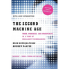 The Second Machine Age: Work, Progress, and Prosperity in a Time of Brilliant Technologies - Paperback