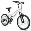 20 Inch Kids Mountain Bike with Adjustable Seat