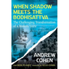 When Shadow Meets the Bodhisattva: The Challenging Transformation of a Modern Guru - Paperback