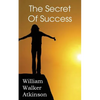 The Secret of Success - Paperback