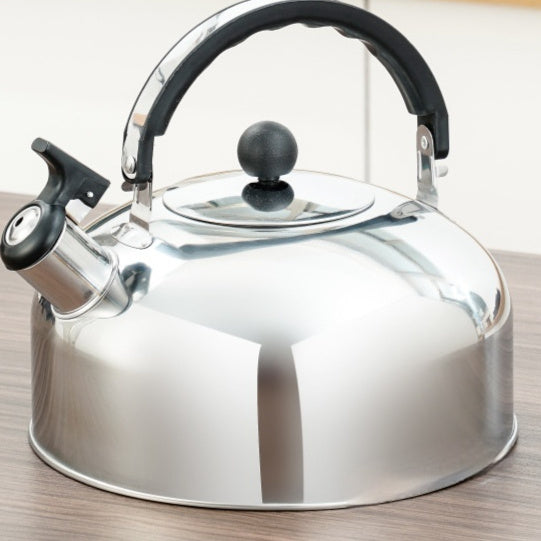 Stainless Steel Kettle