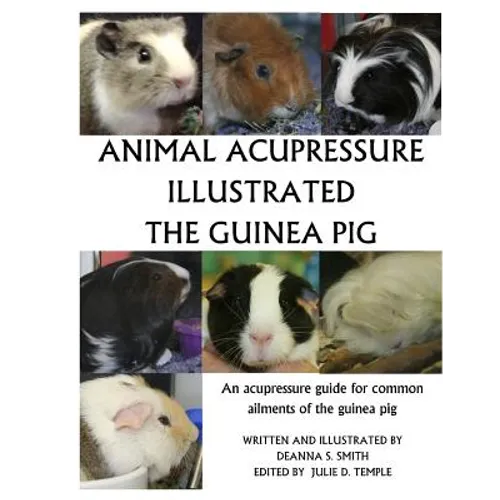 Animal Acupressure Illustration The Guinea Pig - Paperback