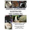 Animal Acupressure Illustration The Guinea Pig - Paperback