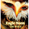 Eagle Moon - Hardcover