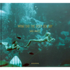 What Did the Deep Sea Say - Hardcover