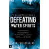 The Spiritual Warrior's Guide to Defeating Water Spirits - Hardcover