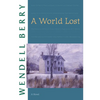 A World Lost - Paperback