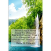 When Life Is More Than We Dreamed: Life's Outtakes Year 3 - Paperback