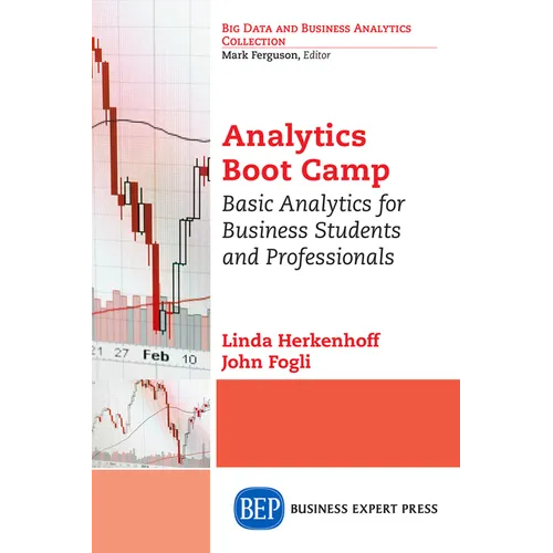 Analytics Boot Camp: Basic Analytics for Business Students and Professionals - Paperback