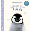 Goodnight, Little Penguin: A Board Book - Hardcover