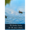 The Sunday Sermons Of The Great Fathers: Volume 4 - From The Eleventh Sunday After Pentecost To The Twenty Fourth And Last Sunday After Pentecost - Paperback