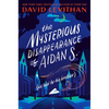 The Mysterious Disappearance of Aidan S.: As Told to His Brother - Paperback
