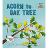 Acorn to Oak Tree - Paperback