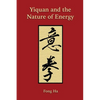 Yiquan and the Nature of Energy - Paperback