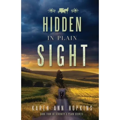 Hidden in Plain Sight - Paperback