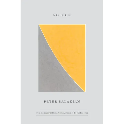 No Sign - Hardcover