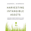 Harvesting Intangible Assets: Uncover Hidden Revenue in Your Company's Intellectual Property - Paperback