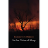 In the Cities of Sleep - Paperback
