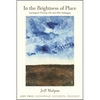 In the Brightness of Place: Topological Thinking with and After Heidegger - Hardcover