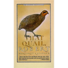 That Quail, Robert - Paperback