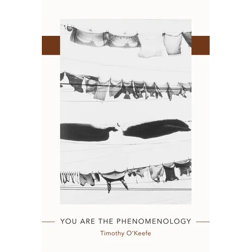 You Are the Phenomenology - Paperback