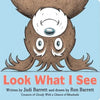 Look What I See - Board Book