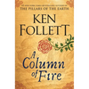 A Column of Fire - Hardcover