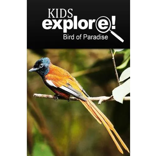 Birds Of Paradise - Kids Explore: Animal books nonfiction - books ages 5-6 - Paperback