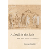 A Stroll in the Rain: New and Selected Poems - Paperback