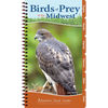 Birds of Prey of the Midwest: Your Way to Easily Identify Raptors - Spiral