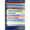 Phytoremediation of Arsenic Contaminated Sites in China: Theory and Practice - Paperback