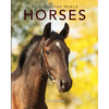 Horses: Amazing Pictures & Fun Facts on Animals in Nature - Paperback