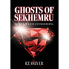 Ghosts of Sekhemru: The Book of Rayne and the Ruby Ring - Hardcover