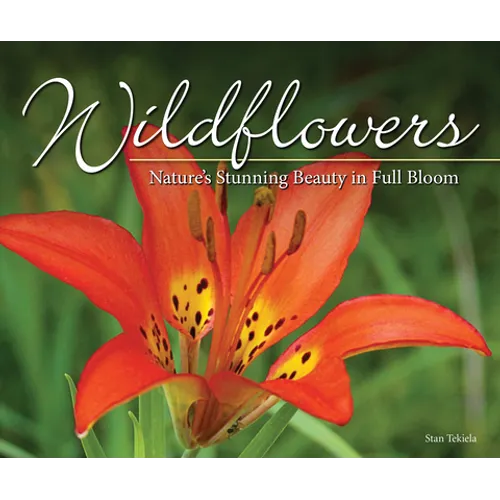 Wildflowers: Nature's Stunning Beauty on Display - Paperback