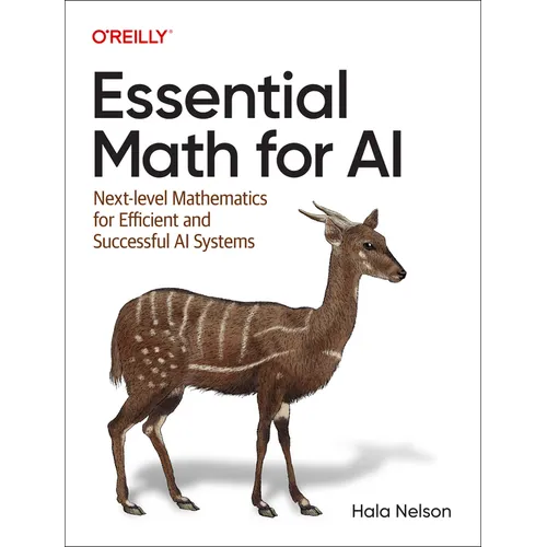 Essential Math for AI: Next-Level Mathematics for Efficient and Successful AI Systems - Paperback