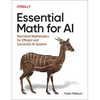 Essential Math for AI: Next-Level Mathematics for Efficient and Successful AI Systems - Paperback