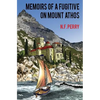 Memoirs of a fugitive on Mount Athos - Paperback
