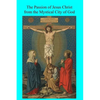 The Passion of Jesus Christ from the Mystical City of God - Paperback