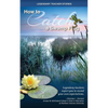 Legendary Teacher Stories: How To Catch A Swamp Frog - Paperback