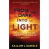 From the Dark into the Light: How I Came to See the Positive Side of Autism - Paperback