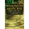 Water from an Ancient Well: Celtic Spirituality for Modern Life - Paperback