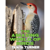 The Amazing World of Birds: Do Your Kids Know This?: A Children's Picture Book - Paperback