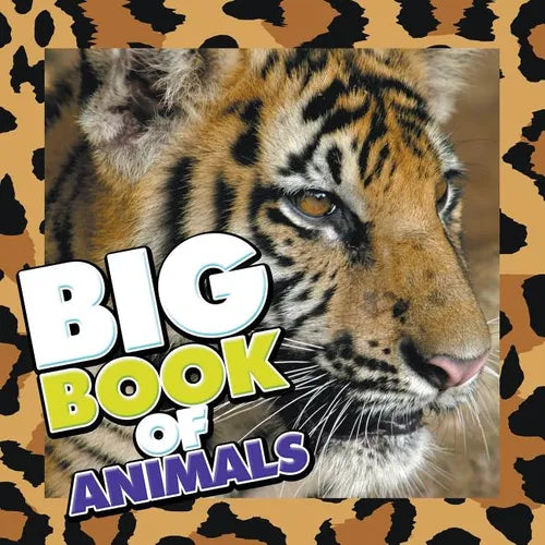 Big Book of Animals - Paperback
