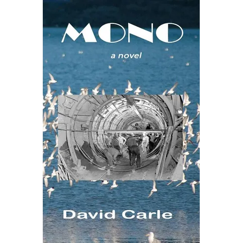 Mono - Paperback